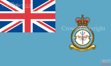 RAF 360 Squadron Ensign