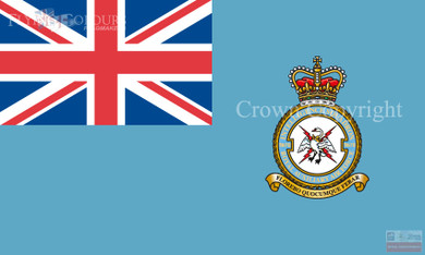 RAF 7006 (VR) Intelligence Ensign