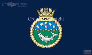 HMS Spey Flag