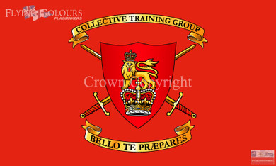 Collective Training Group flag