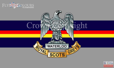 The Royal Scots Greys flag