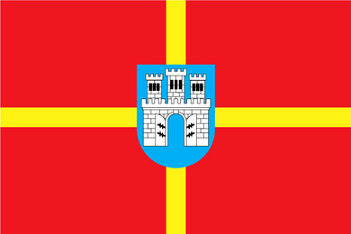 Zhytomyr Flag