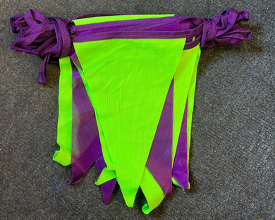 Purple & Green Bunting (Clearance)