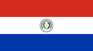 Paraguay National Flag