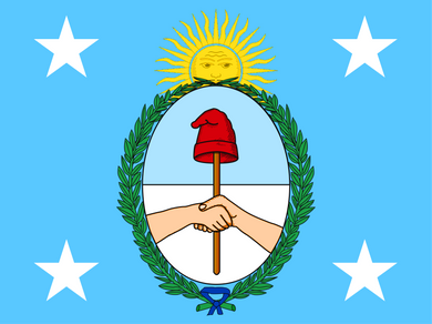 Argentina Presidential Flag