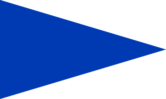 Brigade Commander Flag