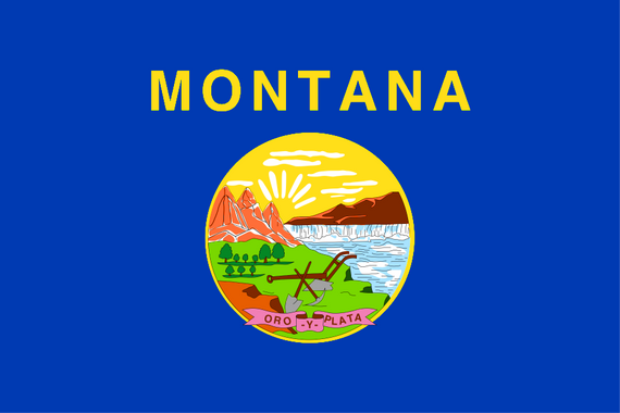 Montana State Flag