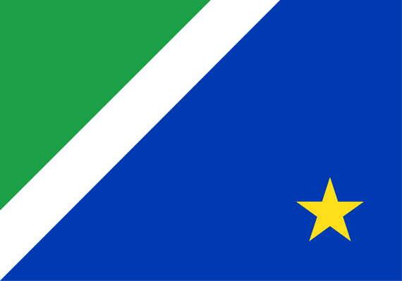 Mato Grosso do Sul Flag