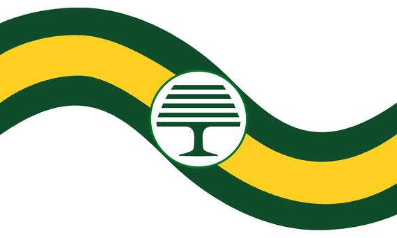 Caterham Flag