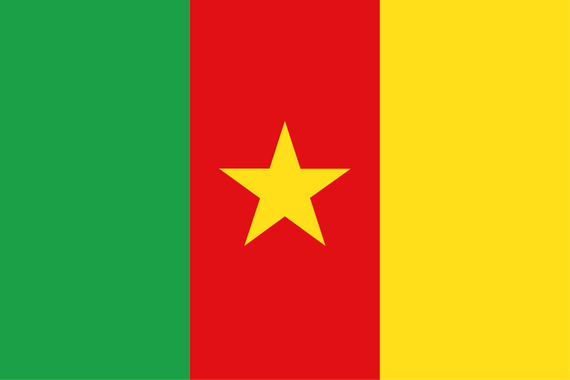 Cameroon National Flag