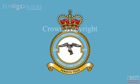 RAF 25 Squadron Badge Flag