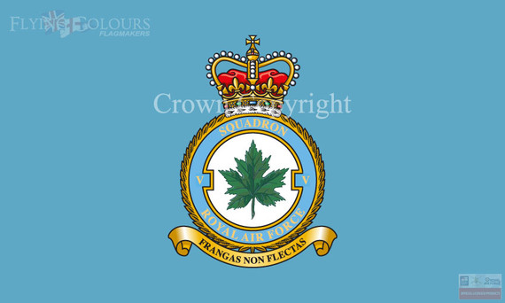 RAF 5 Squadron Flag
