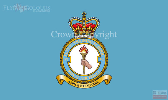 RAF 6 Flying Training School Flag