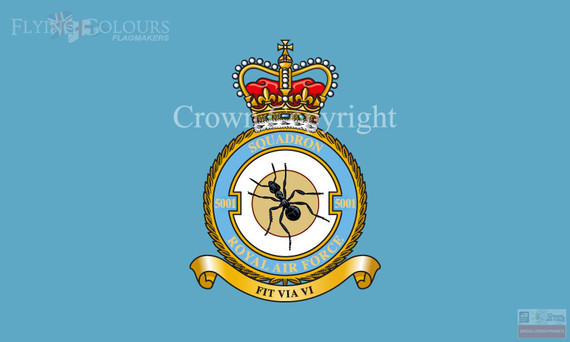 5001 Squadron Flag