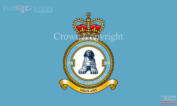RAF 208 Squadron Flag