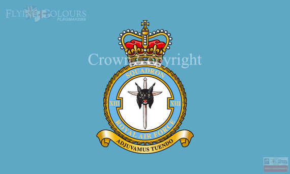 RAF 13 Squadron Flag