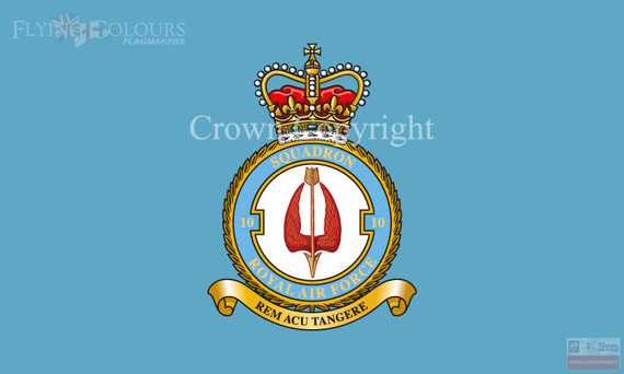 RAF 10 Squadron Flag