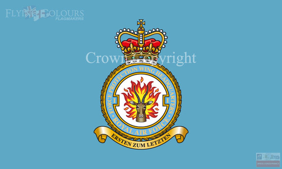 RAF 1 Force Protection Wing Flag