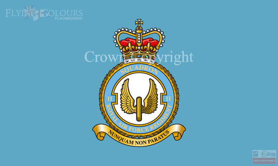 RAF 2 Regiment Squadron Flag