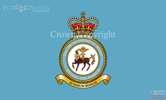 RAF Tactical Medical Wing Flag