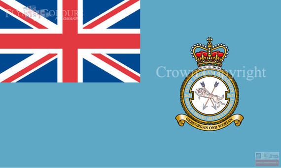 2623 (East Anglian) Squadron Royal Auxiliary Air Force Regiment Ensign