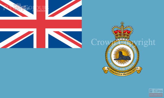 Air Intelligence Wing Ensign