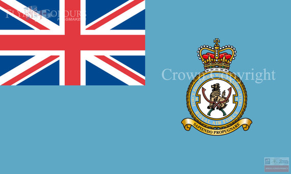 RAF 8 Force Protection Wing Ensign