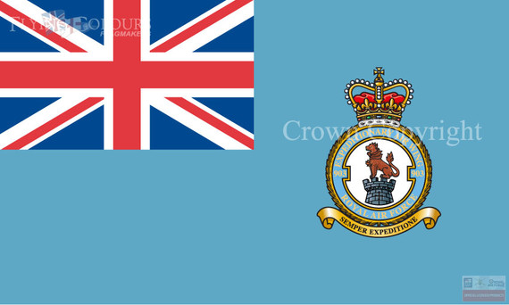 RAF 903 Expeditionary Air Wing Ensign