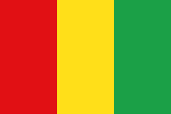 Guinea National Flag