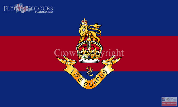 2nd Lifeguards flag