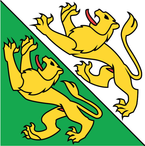 Thurgau Canton Flag