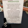 Moldavite adjustable Snake ring- geuine moldavite/silver