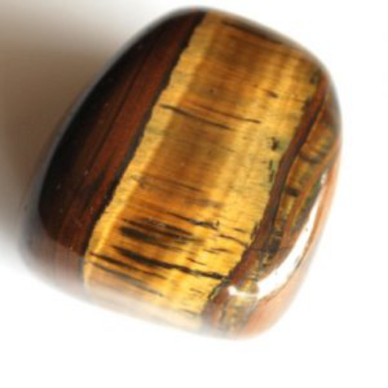 tigers eye protection