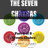 Everything You Need to Know About the Seven Chakras Part 8 of 8 Series - The Crown Chakra