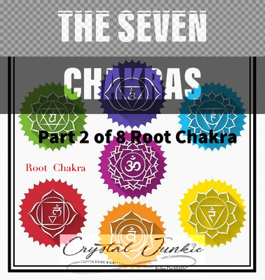 Everything You Need to Know About the Seven Chakras Part 2 of 8 Series:  The Root Chakra