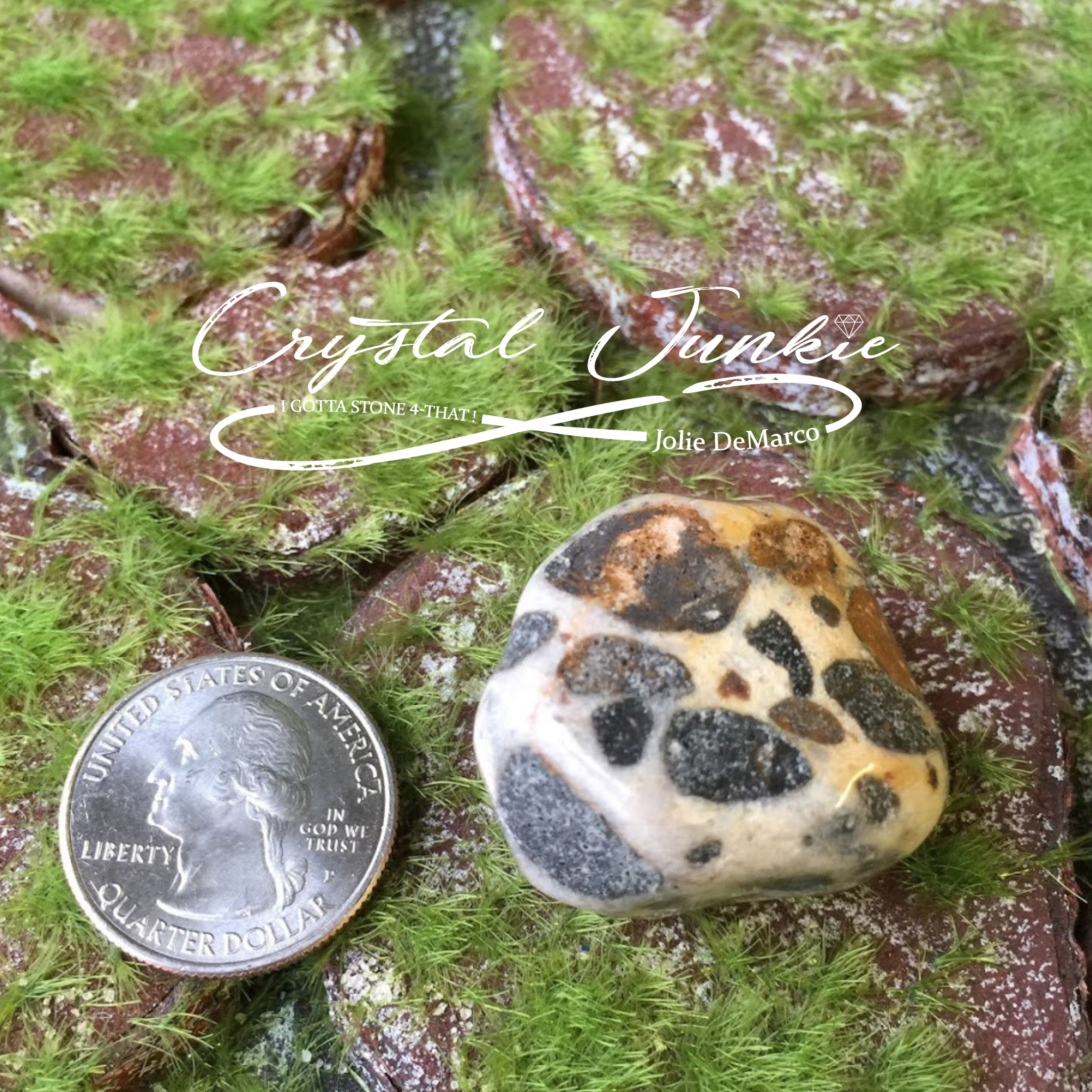 leopard-jasper-quarter.png