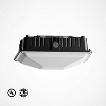 LED Parking Garage & Canopy Light  IDA Series thumbnail 1
