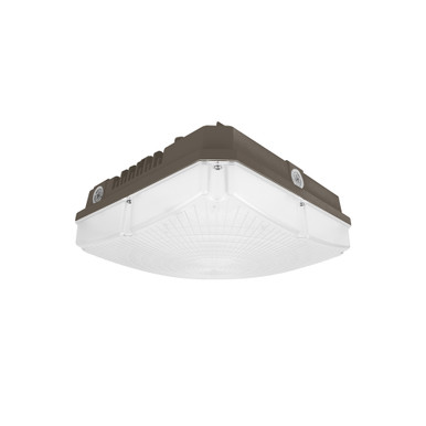 Garage Canopy Light AN-CN