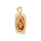 Color Resin Christ Sacred Heart Pendant 12.5mm Yellow Gold 14k [P054-032]