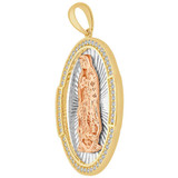 Guadalupe Medal Pendant CZ Oval 23mm Tricolor Gold 14k [P068-020]