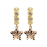 Star Dangling Earring CZ Yellow and Rose Gold 14k [S005-305]