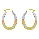 Hoop Earring Cubic Zirconia Tricolor Gold 14k [E080-030]