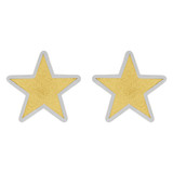 Star Stud Screw Back Earring Yellow and White Gold 14k [E108-014]