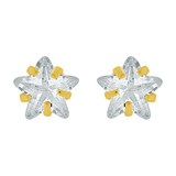 Size Stud Earring Star Shape Cubic Zirconia Screw Back Yellow Gold 14k [E110-014]