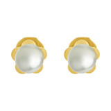 Size Flower Stud Screw Back Earring Fresh Water Pearls Yellow Gold 14k [E110-016]