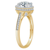 Halo Lady Engagement Ring Oval Cubic Zirconia Yellow Gold 14k [R093-033]