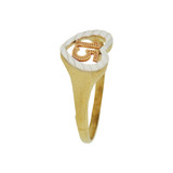 15 Anos Quinceanera Heart Ring Sparkly Cuts Tricolor Gold 14k [R120-009]