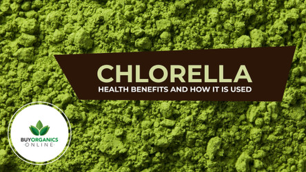 Chlorella: A Review of Its Effects on Health and Well-being