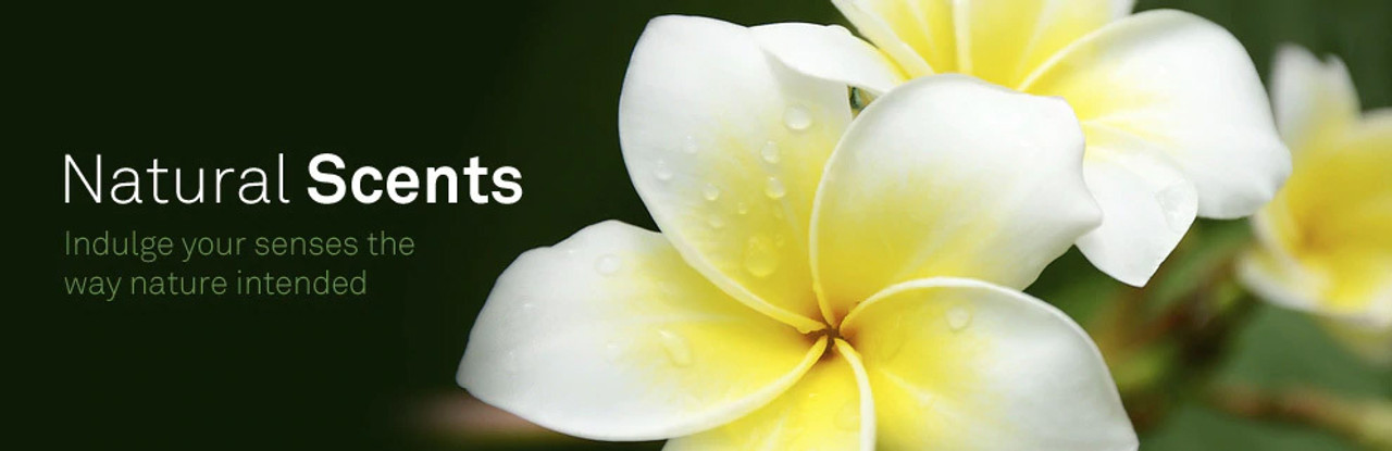 Natural Scents Natural Scents