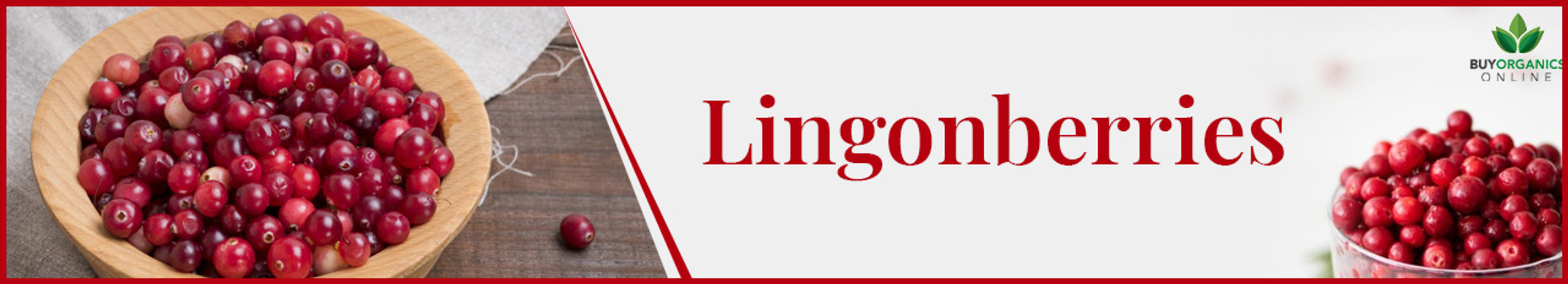 buy lingon berries online